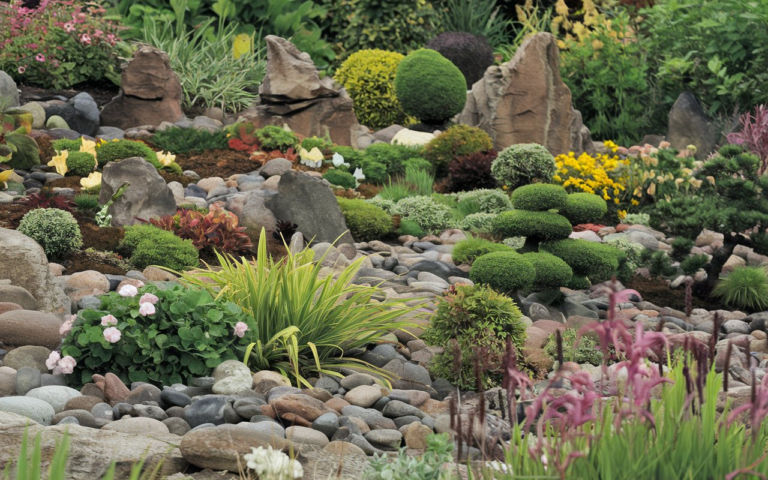 30 Rock Garden Plants: Beautiful and Low-Maintenance Options for Your Yard